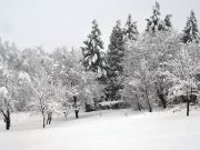 Zima-12-2017-3
