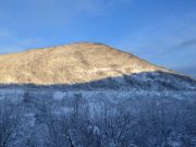 Zima-12-2017-8