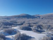 Zima_Rakovica_2025-09