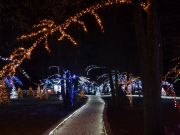 Bozicna_prica_Salajland-04