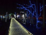 Bozicna_prica_Salajland-05
