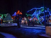 Bozicna_prica_Salajland-08