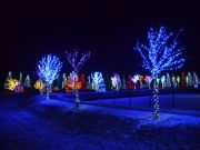 Bozicna_prica_Salajland-39