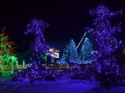 Bozicna_prica_Salajland-44