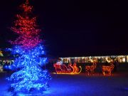 Bozicna_prica_Salajland-46