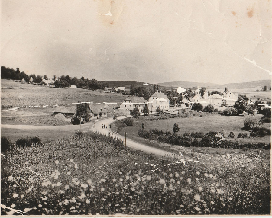 Rakovica 1950